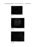 FIBROUS CALCIUM PYROPHOSPHATE PARTICLES AND METHODS OF MAKING AND USING     SAME diagram and image