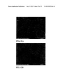 FIBROUS CALCIUM PYROPHOSPHATE PARTICLES AND METHODS OF MAKING AND USING     SAME diagram and image