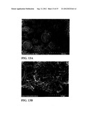 FIBROUS CALCIUM PYROPHOSPHATE PARTICLES AND METHODS OF MAKING AND USING     SAME diagram and image