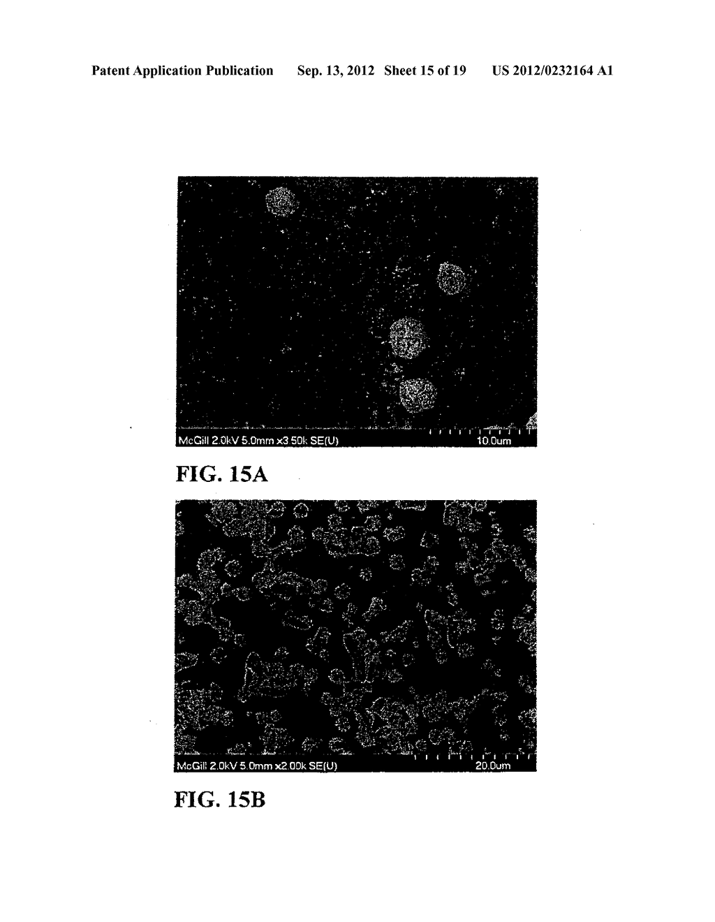 FIBROUS CALCIUM PYROPHOSPHATE PARTICLES AND METHODS OF MAKING AND USING     SAME - diagram, schematic, and image 16