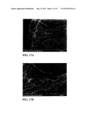 FIBROUS CALCIUM PYROPHOSPHATE PARTICLES AND METHODS OF MAKING AND USING     SAME diagram and image