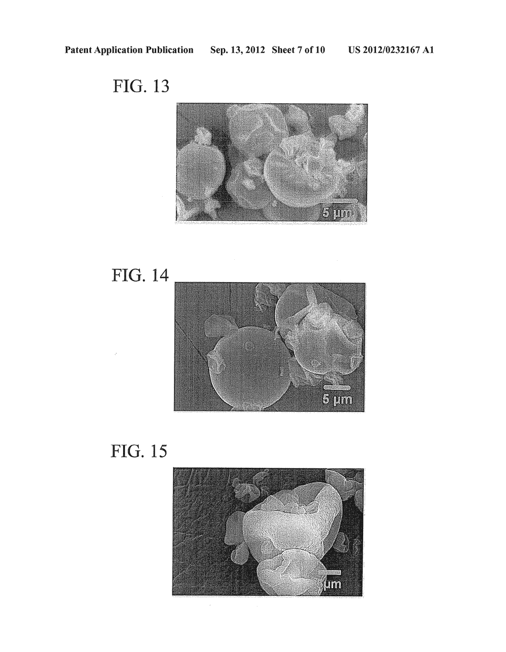 HYDROXYALKYLCELLULOSE MICROPARTICLES - diagram, schematic, and image 08