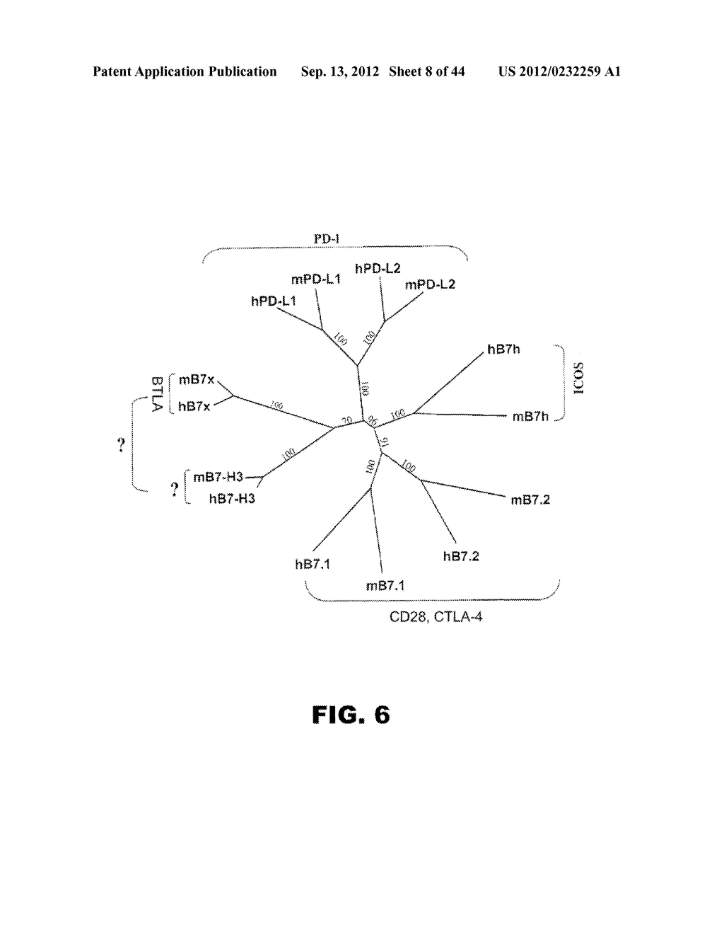 COMPOSITIONS AND METHODS FOR MODULATING LYMPHOCYTE ACTIVITY - diagram, schematic, and image 09