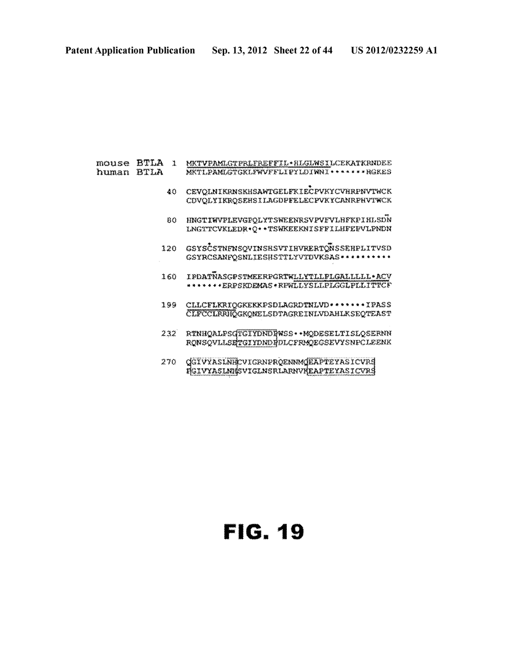 COMPOSITIONS AND METHODS FOR MODULATING LYMPHOCYTE ACTIVITY - diagram, schematic, and image 23