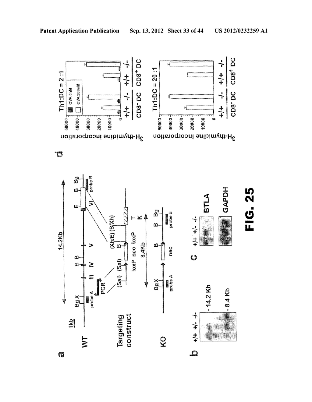 COMPOSITIONS AND METHODS FOR MODULATING LYMPHOCYTE ACTIVITY - diagram, schematic, and image 34