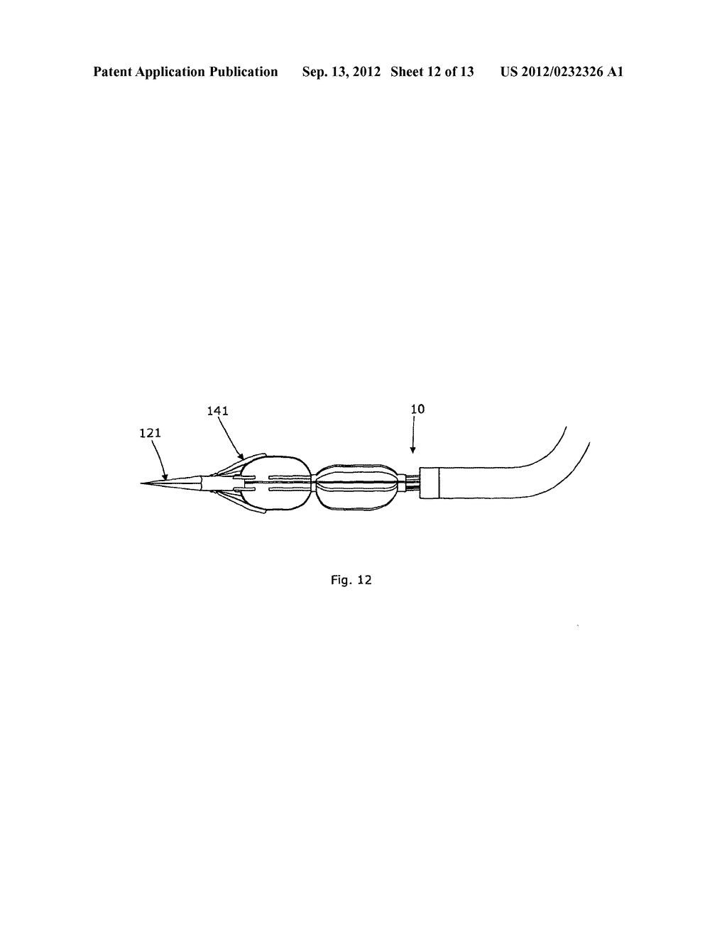 LUMENAL REMODELLING DEVICE AND METHODS - diagram, schematic, and image 13