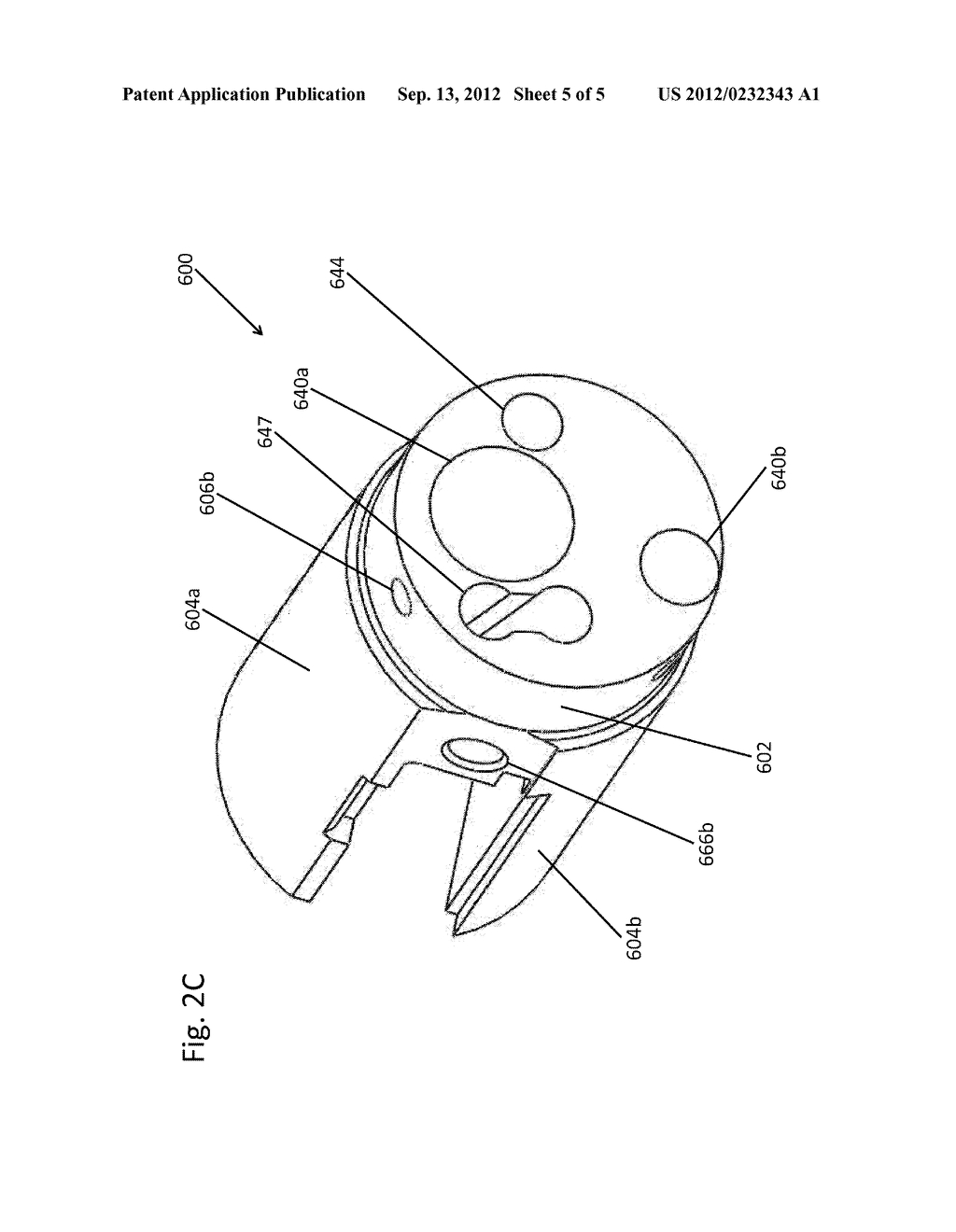 MULTI CAMERA ENDOSCOPE ASSEMBLY HAVING MULTIPLE WORKING CHANNELS - diagram, schematic, and image 06