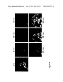 Look-Locker IR-SSFP for Cardiac MR Imaging with Simultaneous Generation of     Cardiac T1 Maps, Cine Images and IR-Prepared Images diagram and image