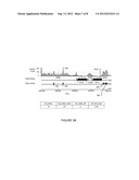 COMPOSITE HUMAN PHYSIOLOGICAL STRESS INDEX BASED ON HEART BEAT AND SLEEP     AND/OR ACTIVITY HISTORY DATA INCLUDING ACTIGRAPHY diagram and image