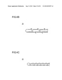 METHOD FOR IMPROVING BLOOD FLOW IN BONE HEAD diagram and image