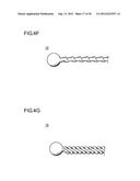 METHOD FOR IMPROVING BLOOD FLOW IN BONE HEAD diagram and image