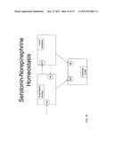 Method and Apparatus for Computer Modeling of the Interaction Between and     among Cortical and Subcortical Areas in the Human Brain for the purpose     of predicting the effect of drugs in psychiatric & cognitive diseases diagram and image