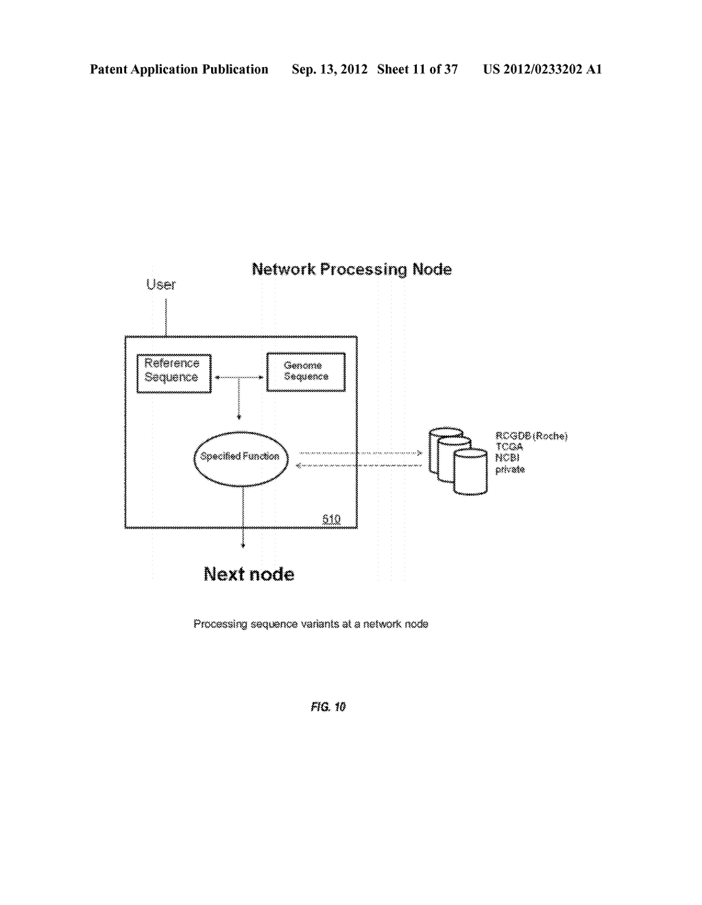 BIOLOGICAL DATA NETWORKS AND METHODS THEREFOR - diagram, schematic, and image 12