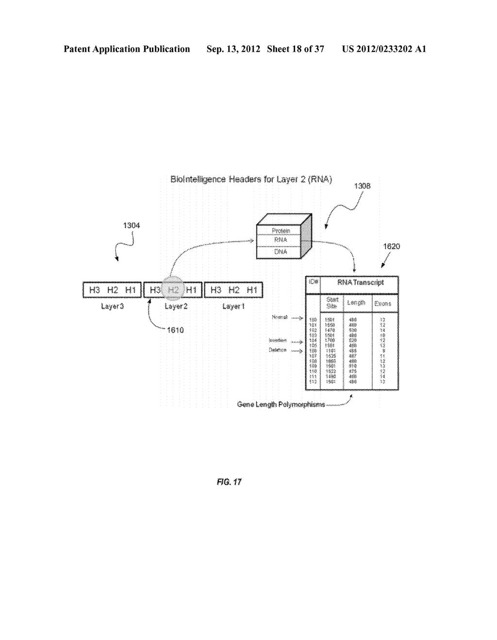 BIOLOGICAL DATA NETWORKS AND METHODS THEREFOR - diagram, schematic, and image 19