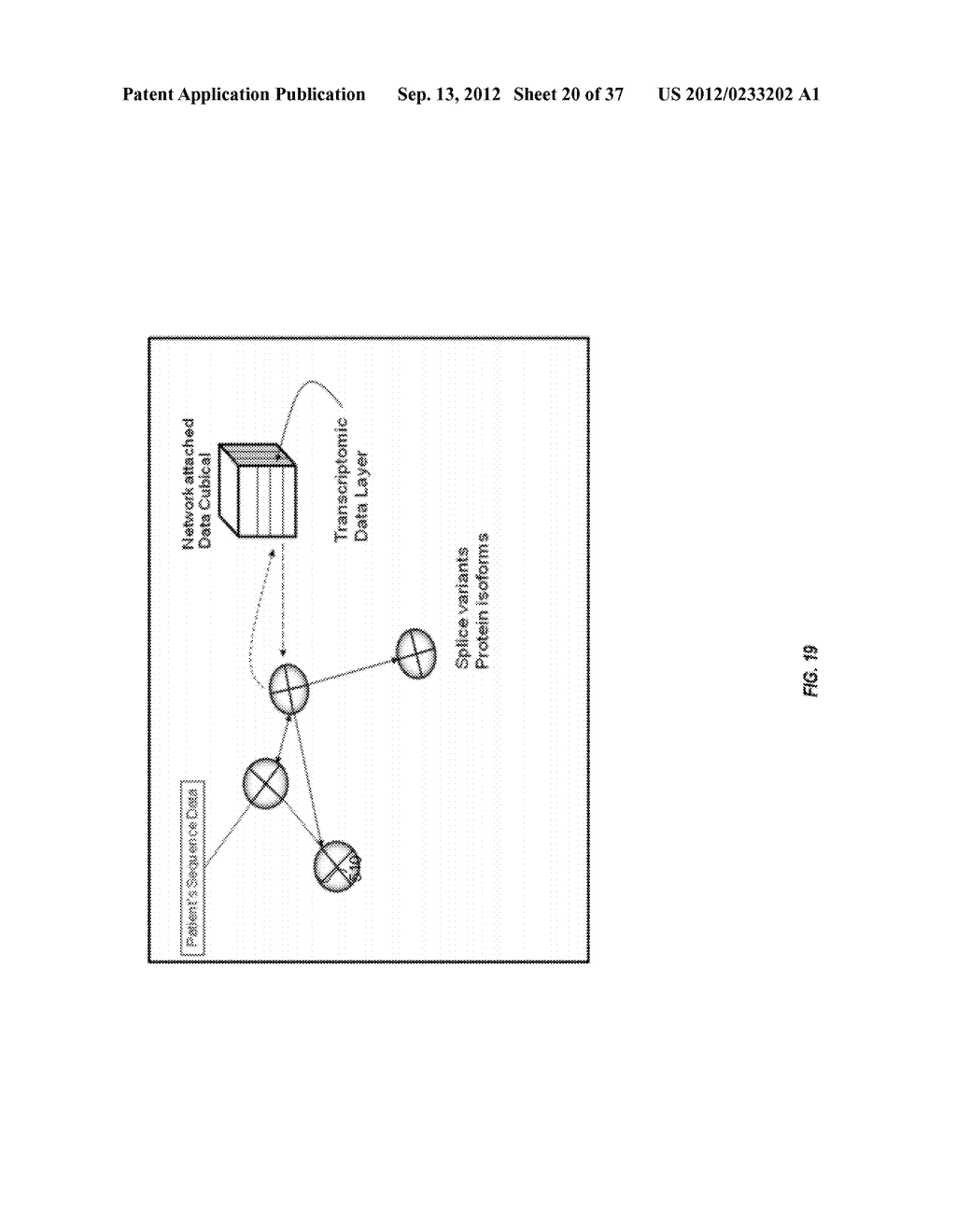 BIOLOGICAL DATA NETWORKS AND METHODS THEREFOR - diagram, schematic, and image 21