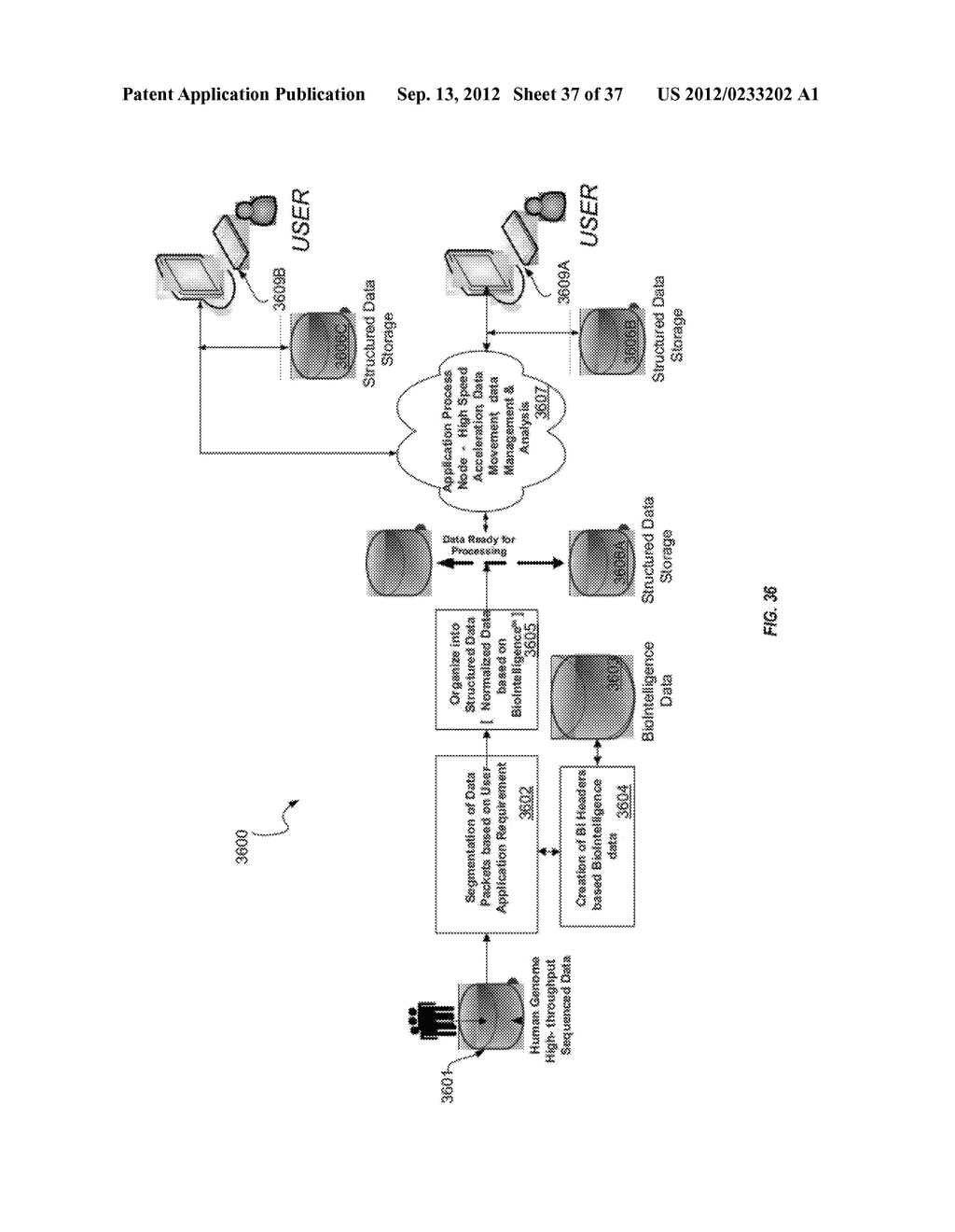 BIOLOGICAL DATA NETWORKS AND METHODS THEREFOR - diagram, schematic, and image 38