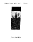 Diagnostic Method and Breath Testing Device diagram and image