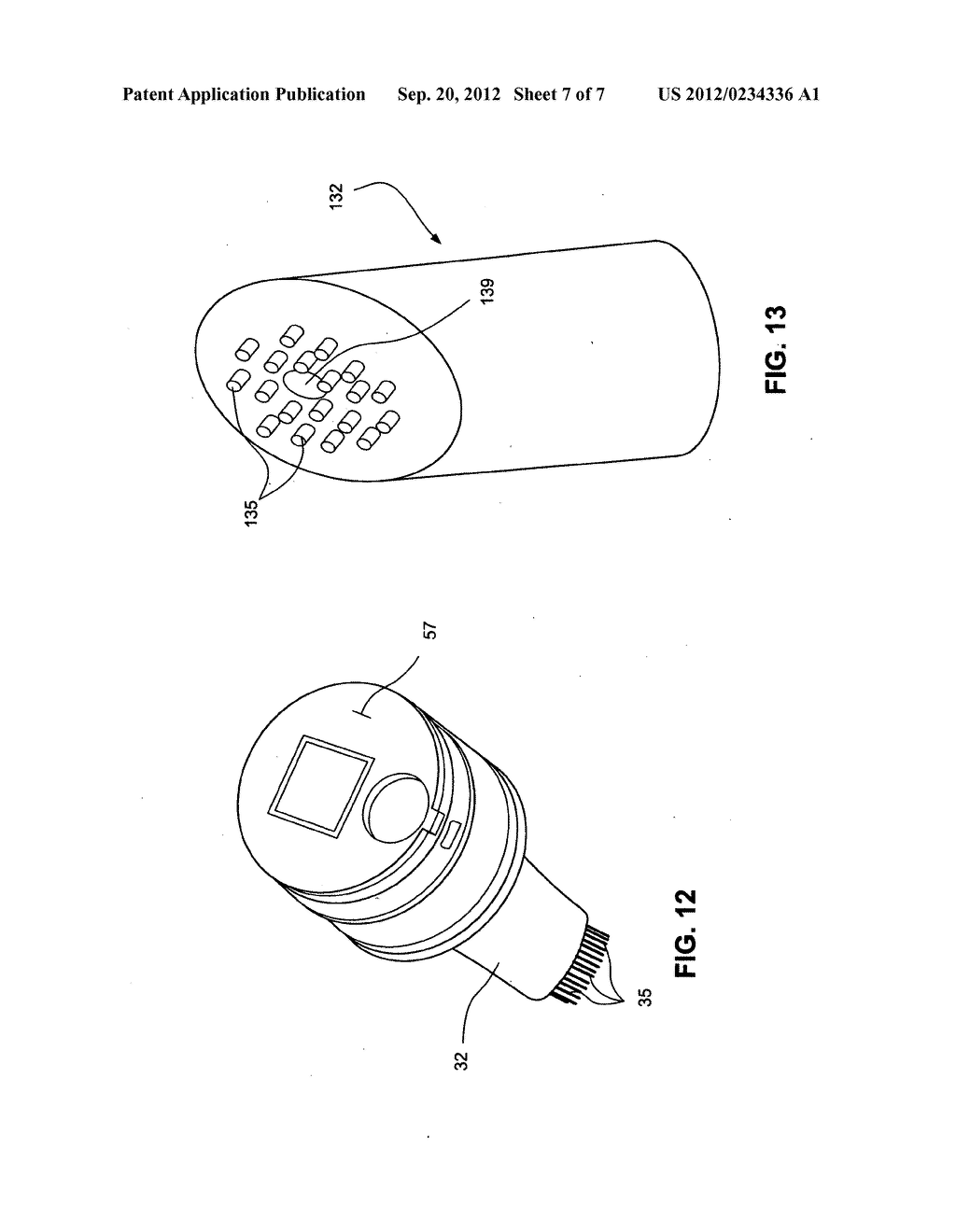 Lip exfoliation and gloss application - diagram, schematic, and image 08