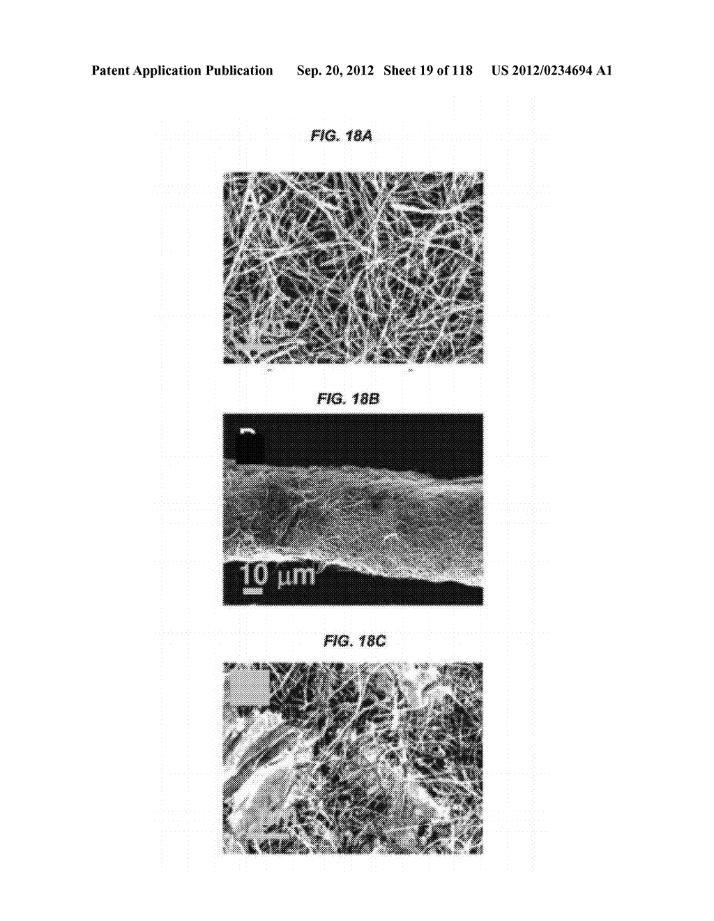 ELECTROCHEMICAL CARBON NANOTUBE FILTER AND METHOD - diagram, schematic, and image 20