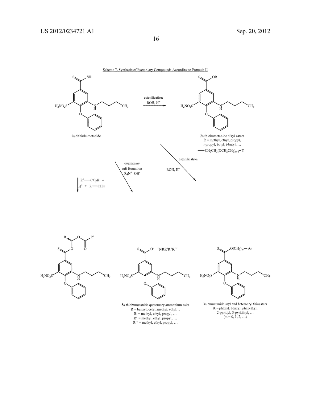 DIURETIC AND DIURETIC-LIKE COMPOUND ANALOGS - diagram, schematic, and image 18