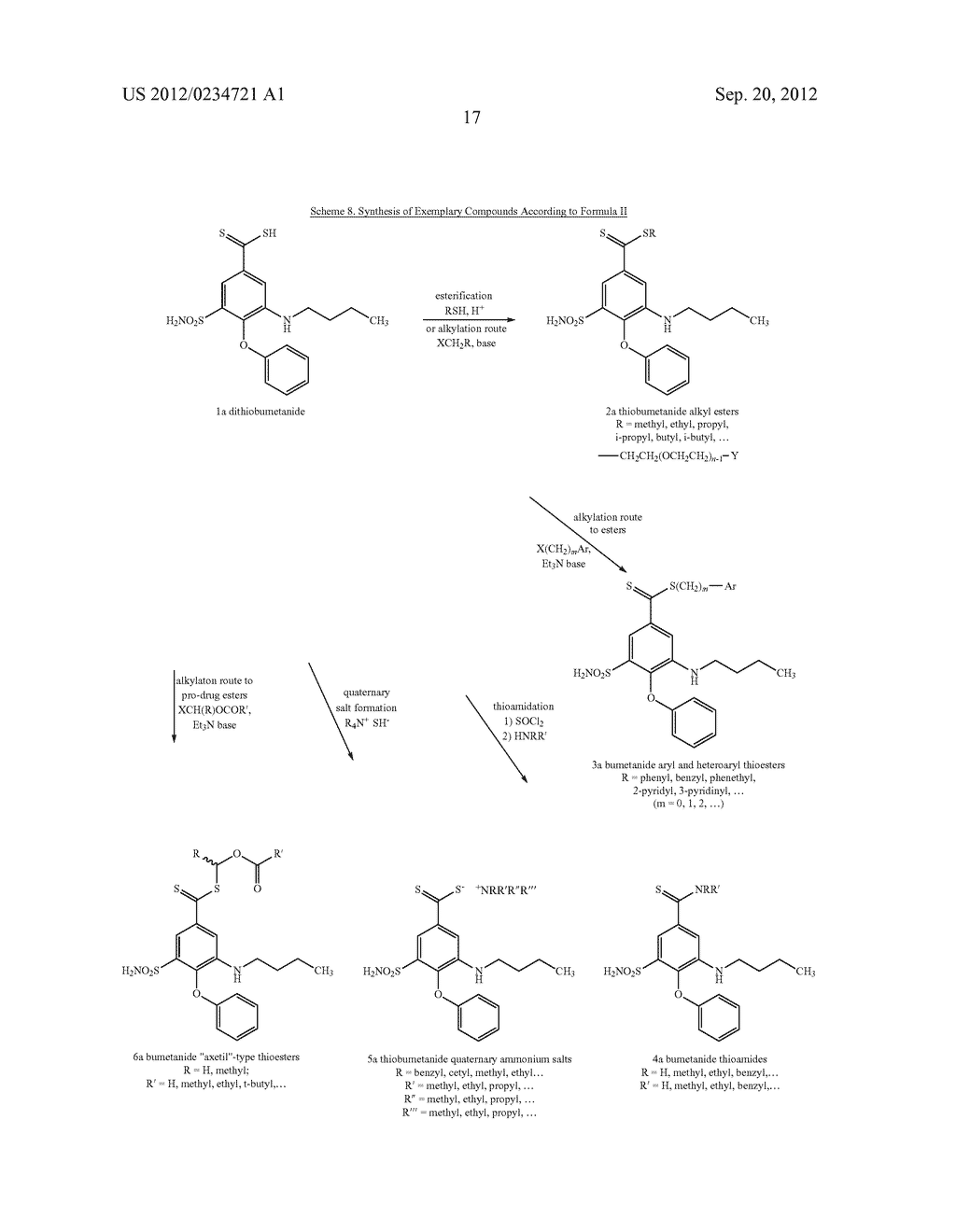 DIURETIC AND DIURETIC-LIKE COMPOUND ANALOGS - diagram, schematic, and image 19