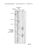 Microbubble Therapy Method and Generating Apparatus diagram and image