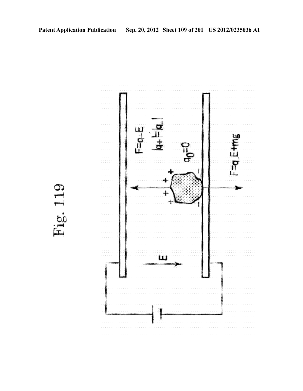 INSPECTION DEVICE - diagram, schematic, and image 110