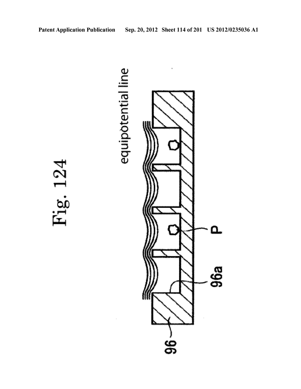 INSPECTION DEVICE - diagram, schematic, and image 115