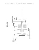 INSPECTION DEVICE diagram and image