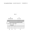 ORGANIC LIGHT EMITTING DIODE DISPLAY diagram and image