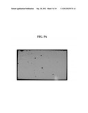 ORGANIC LIGHT EMITTING DIODE DISPLAY diagram and image