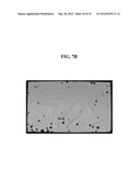 ORGANIC LIGHT EMITTING DIODE DISPLAY diagram and image