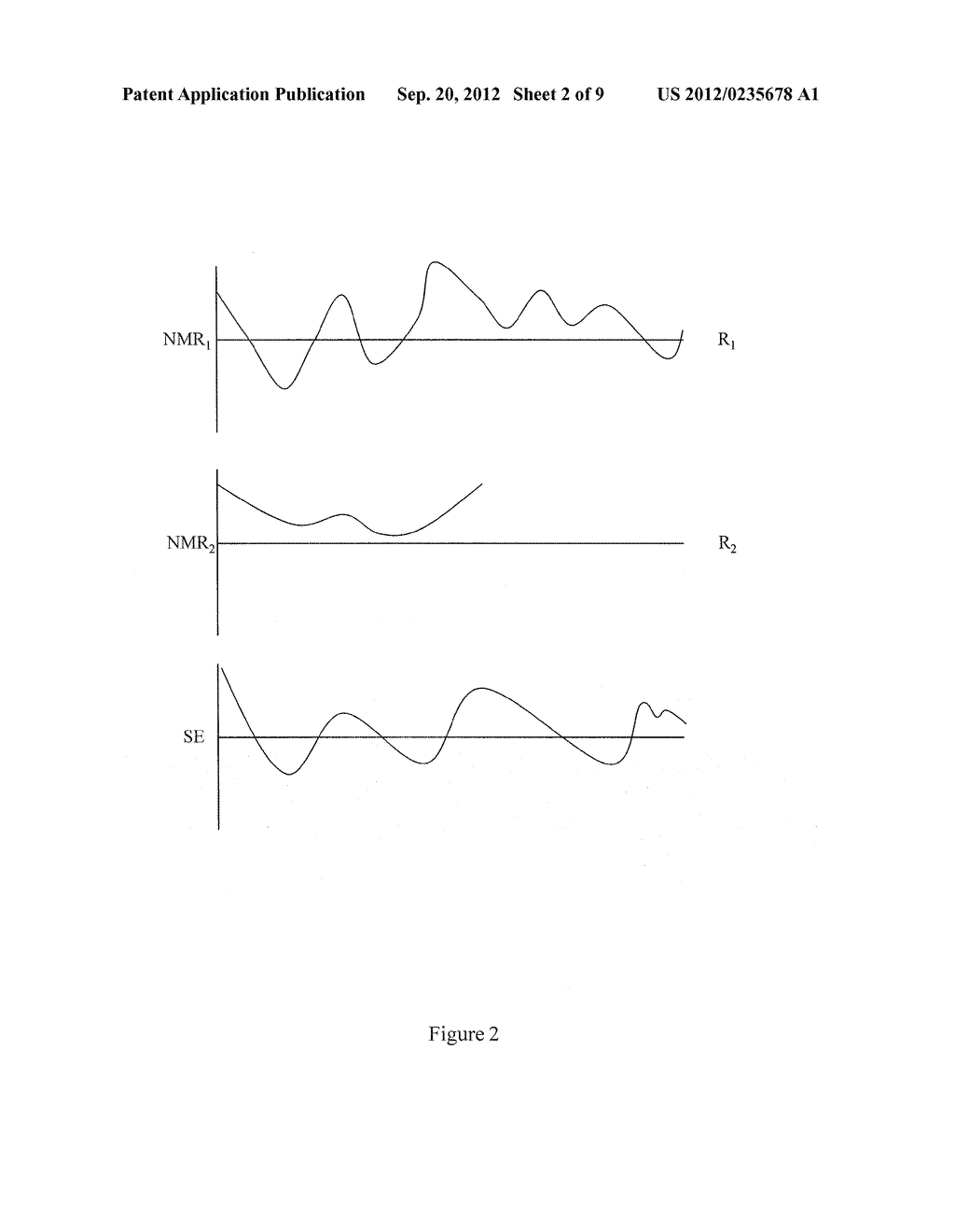 NUCLEAR MAGNETIC RESONANCE (NMR) FINGERPRINTING - diagram, schematic, and image 03