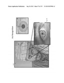 SEE-THROUGH NEAR-EYE DISPLAY GLASSES WITH A FAST RESPONSE PHOTOCHROMIC     FILM SYSTEM FOR QUICK TRANSITION FROM DARK TO CLEAR diagram and image