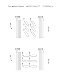 Liquid Crystal Displays Having Pixels with Embedded Fringe Field     Amplifiers diagram and image