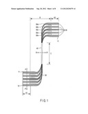 FLEXIBLE WIRING MODULE AND FLEXIBLE WIRING DEVICE diagram and image