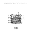 FLEXIBLE WIRING MODULE AND FLEXIBLE WIRING DEVICE diagram and image