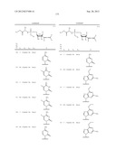 2 ALLENE-SUBSTITUTED NUCLEOSIDE DERIVATIVES diagram and image