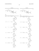 2 ALLENE-SUBSTITUTED NUCLEOSIDE DERIVATIVES diagram and image