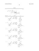 2 ALLENE-SUBSTITUTED NUCLEOSIDE DERIVATIVES diagram and image