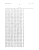 Incorporation of the B18R gene to enhance antitumor effect of virotherapy diagram and image