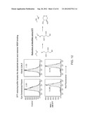 Activatable Binding Polypeptides and Methods of Identification and Use     Thereof diagram and image