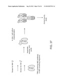 Activatable Binding Polypeptides and Methods of Identification and Use     Thereof diagram and image