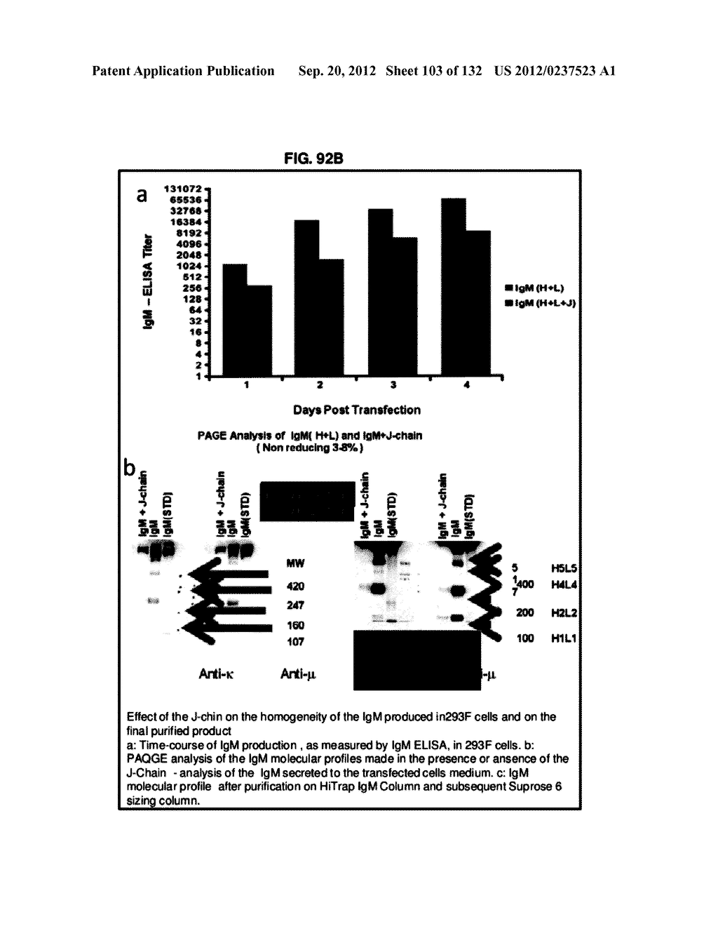 NEUTRALIZING ANTIBODIES TO HIV-1 AND THEIR USE - diagram, schematic, and image 104