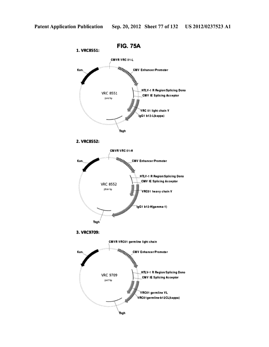 NEUTRALIZING ANTIBODIES TO HIV-1 AND THEIR USE - diagram, schematic, and image 78