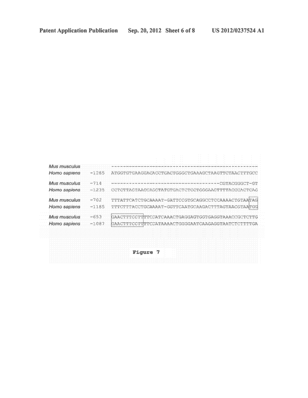 MET INHIBITORS FOR ENHANCING RADIOTHERAPY EFFICACY - diagram, schematic, and image 07