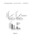 Therapeutic Compositions For The Treatment of HPV-Induced Diseases diagram and image