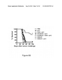 Therapeutic Compositions For The Treatment of HPV-Induced Diseases diagram and image
