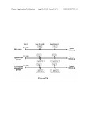 Therapeutic Compositions For The Treatment of HPV-Induced Diseases diagram and image