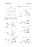 MODIFIED DRUGS FOR USE IN LIPOSOMAL NANOPARTICLES diagram and image